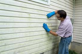 Best Siding Painting and Refinishing  in Plentywood, MT